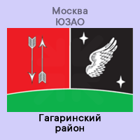 ЮЗАО Гагаринский